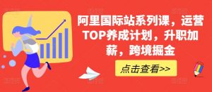 阿里国际站系列课,运营TOP养成计划,升职加薪,跨境掘金-知乎者也