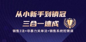 从小新手到销冠 三合一速成:销售3法+非暴力关单法+销售系统挖需课 (27节)-知乎者也