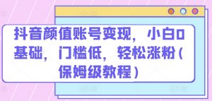 抖音颜值账号变现，小白0基础，门槛低，​轻松涨粉(保姆级教程)【揭秘】-知乎者也