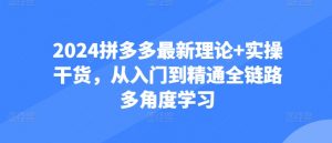 2024拼多多最新理论+实操干货，从入门到精通全链路多角度学习-知乎者也