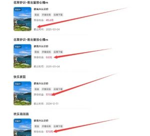 磁力聚星游戏副业陪跑训练营1.0,长期稳定项目,有人一周干了1K+-知乎者也