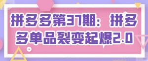 拼多多第37期：拼多多单品裂变起爆2.0-知乎者也