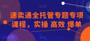 速卖通全托管专题专项课程,实操 高效 爆单-知乎者也