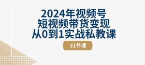 2024年视频号短视频带货变现从0到1实战私教课(31节视频课)-知乎者也