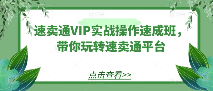 速卖通VIP实战操作速成班,带你玩转速卖通平台-知乎者也