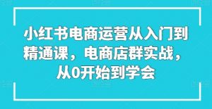 小红书电商运营从入门到精通课,电商店群实战,从0开始到学会-知乎者也