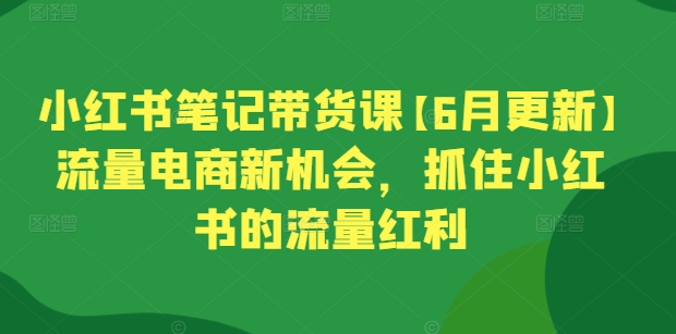 小红书笔记带货课【6月更新】流量电商新机会,抓住小红书的流量红利-知乎者也