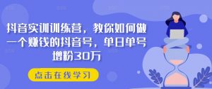 抖音实训训练营,教你如何做一个赚钱的抖音号,单日单号增粉30万-知乎者也