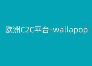 欧洲C2C平台-wallapop-kim跨境电商教程-知乎者也