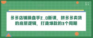 多多店铺操盘手2.0新课,拼多多卖货的底层逻辑,打造爆款的3个周期-知乎者也