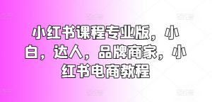 小红书课程专业版,小白,达人,品牌商家,小红书电商教程-知乎者也