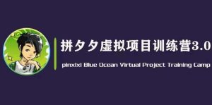 黄岛主·拼夕夕虚拟变现3.0，蓝海平台的虚拟项目，单天50-500+纯利润-知乎者也