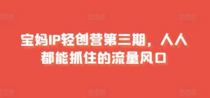 宝妈IP轻创营第三期,人人都能抓住的流量风口-知乎者也