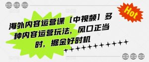 海外内容运营课【中视频】多种内容运营玩法,风口正当时,掘金好时机-知乎者也