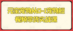 元宝宠物从0~1宠物短视频带货实战课-知乎者也