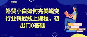 外贸小白如何完美蜕变行业销冠线上课程,初出门0基础-知乎者也