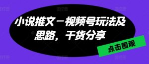 小说推文—视频号玩法及思路,干货分享-知乎者也