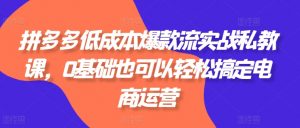 拼多多低成本爆款流实战私教课，0基础也可以轻松搞定电商运营-知乎者也