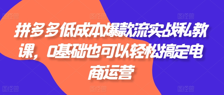 拼多多低成本爆款流实战私教课，0基础也可以轻松搞定电商运营-知乎者也