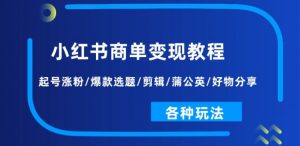 小红书商单变现教程:起号涨粉/爆款选题/剪辑/蒲公英/好物分享/各种玩法-知乎者也