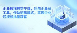 企业短视频钩子课,利用企业AI工具,借助矩阵模式,实现企业短视频批量获客-知乎者也