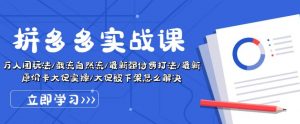 拼多多实战课:万人团玩法/截流自然流/最新强付费打法/最新原价卡大促..-知乎者也