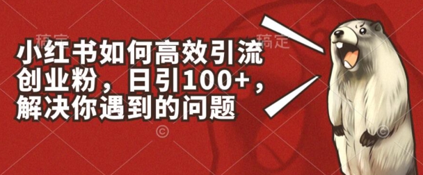 小红书如何高效引流创业粉，日引100+，解决你遇到的问题【揭秘】-知乎者也