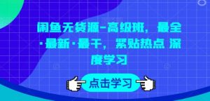 闲鱼无货源-高级班，最全·最新·最干，紧贴热点 深度学习-知乎者也