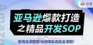 【训练营】亚马逊爆款打造之精品开发SOP，系统化洞察亚马逊精品选品全流程-知乎者也