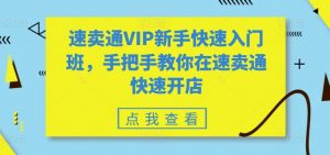 速卖通VIP新手快速入门班,手把手教你在速卖通快速开店-知乎者也