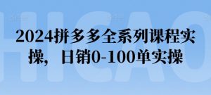 2024拼多多全系列课程实操，日销0-100单实操【必看】-知乎者也