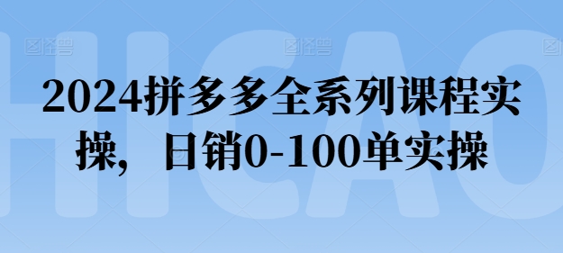 2024拼多多全系列课程实操,日销0-100单实操【必看】-知乎者也