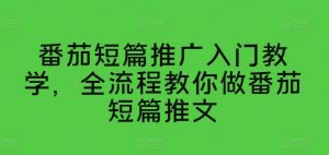 番茄短篇推广入门教学，全流程教你做番茄短篇推文-知乎者也