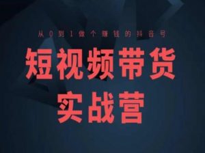 短视频带货实战营(高阶课),从0到1做个赚钱的抖音号-知乎者也