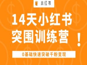 14天小红书突围训练营 ,0基础快速突破千粉变现-知乎者也