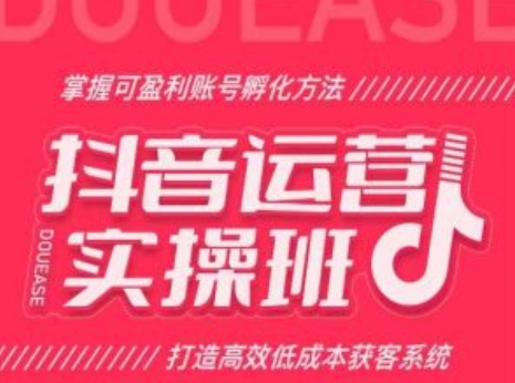 抖音运营实操班，掌握可盈利账号孵化方法，打造高效低成本获客系统-知乎者也