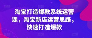 淘宝打造爆款系统运营课,淘宝新店运营思路,快速打造爆款-知乎者也