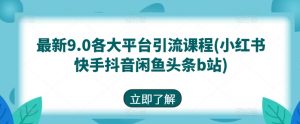 最新9.0各大平台引流课程(小红书快手抖音闲鱼头条b站)-知乎者也