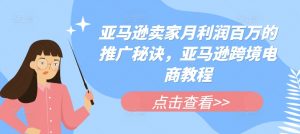 亚马逊卖家月利润百万的推广秘诀,亚马逊跨境电商教程-知乎者也