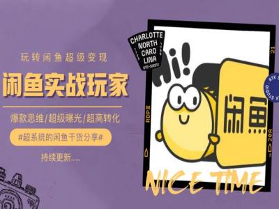 手把手教你0到1系统玩转闲鱼变现,爆款思维/超级曝光/超高转化-知乎者也