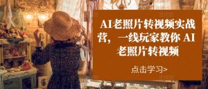 AI老照片转视频实战营,一线玩家教你AI老照片转视频-知乎者也