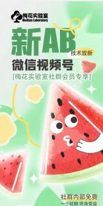 梅花实验室2024年AB技术视频号AB合成破解版-知乎者也