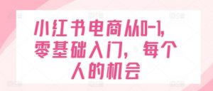 小红书电商从0-1,零基础入门,每个人的机会-知乎者也