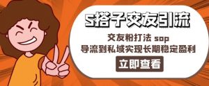 某收费888-S搭子交友引流,交友粉打法 sop,导流到私域实现长期稳定盈利-知乎者也