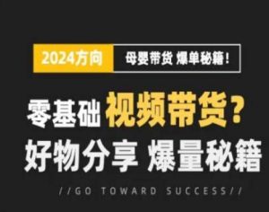 短视频母婴赛道实操流量训练营,零基础视频带货,好物分享,爆量秘籍-知乎者也