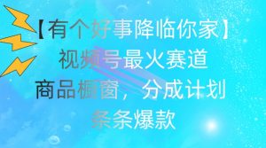 【有个好事降临你家】视频号爆火赛道，商品橱窗，分成计划，条条爆款【揭秘】-知乎者也