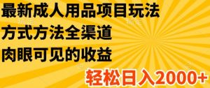 最新成人用品项目玩法,方式方法全渠道,轻松日入2K+【揭秘】-知乎者也