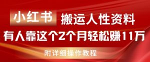 小红书搬运人性资料，有人靠这个2个月轻松赚11w，附教程【揭秘】-知乎者也