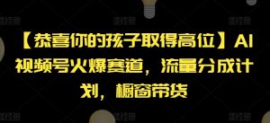 【恭喜你的孩子取得高位】AI视频号火爆赛道，流量分成计划，橱窗带货【揭秘】-知乎者也