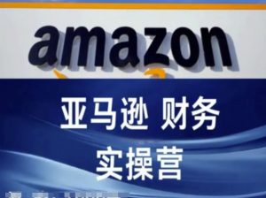 亚马逊财务核算实操营-亚马逊跨境电商教程-知乎者也